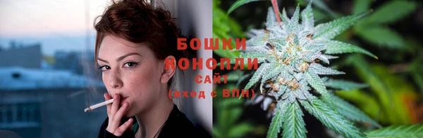 прущие грибы Магас