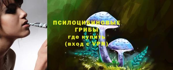 прущие грибы Магас