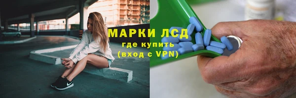 прущие грибы Магас