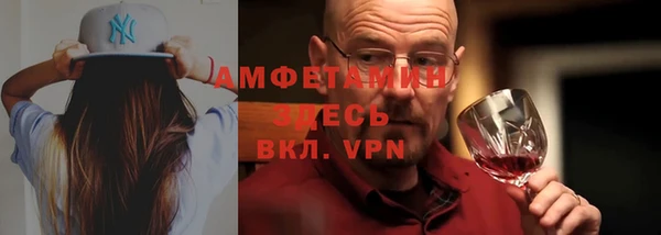 прущие грибы Магас