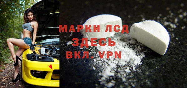 прущие грибы Магас