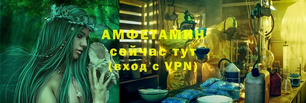 прущие грибы Магас