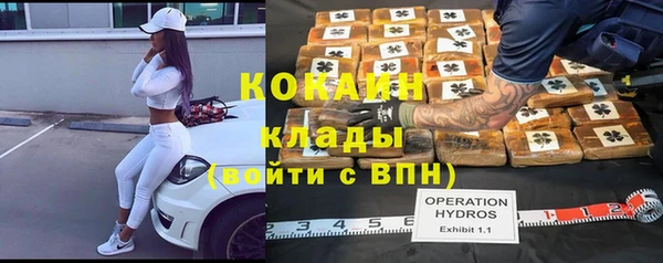 прущие грибы Магас